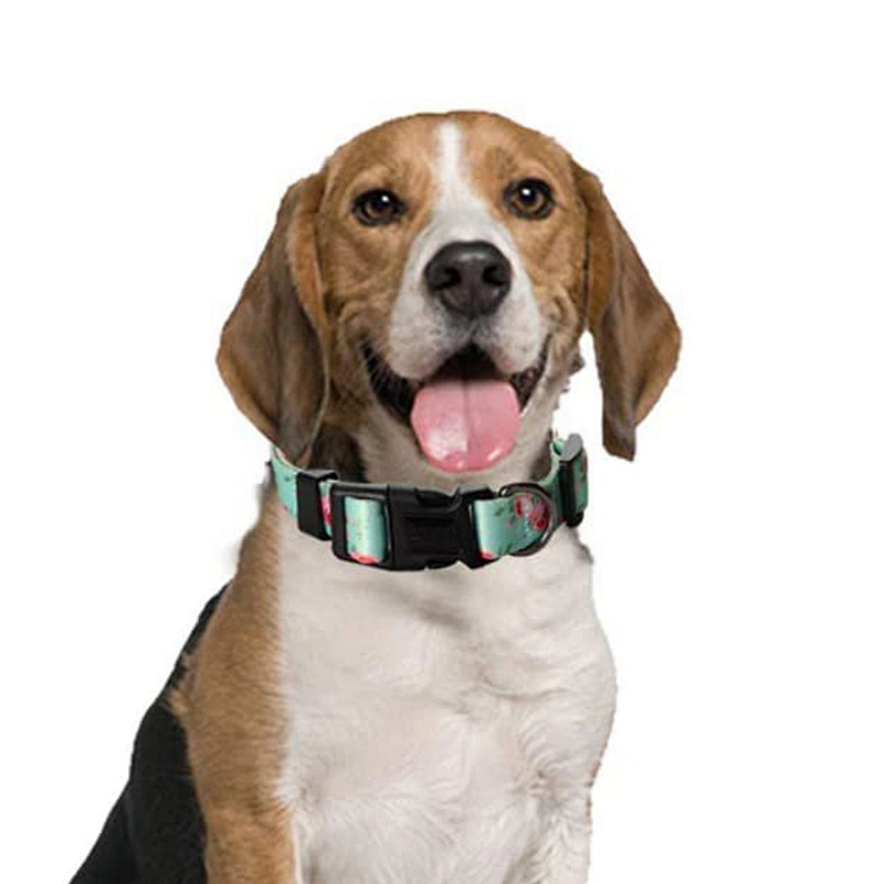 Custom Print Polyester Pet Dog Collar With Adjustable Buckle