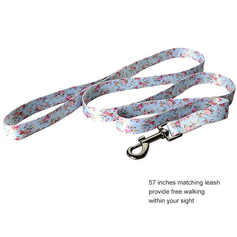 Durable Polyester Walking Pet Leashes With sublimation printing