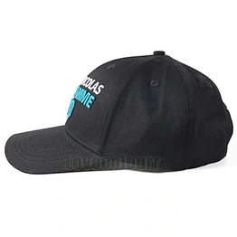 Professional design cotton custom sport cap for wholesale