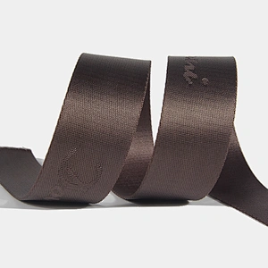 Custom colorful webbing/tpu coated nylon webbing with woven logo