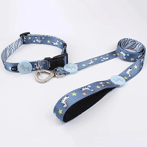 Custom Pattern Polyester Dog Leash With Sublimation Printing Logo Pet Collar