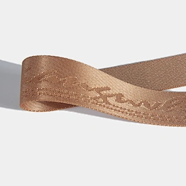 Guangzhou manufacture direct wholesale polyester webbing backpack strap