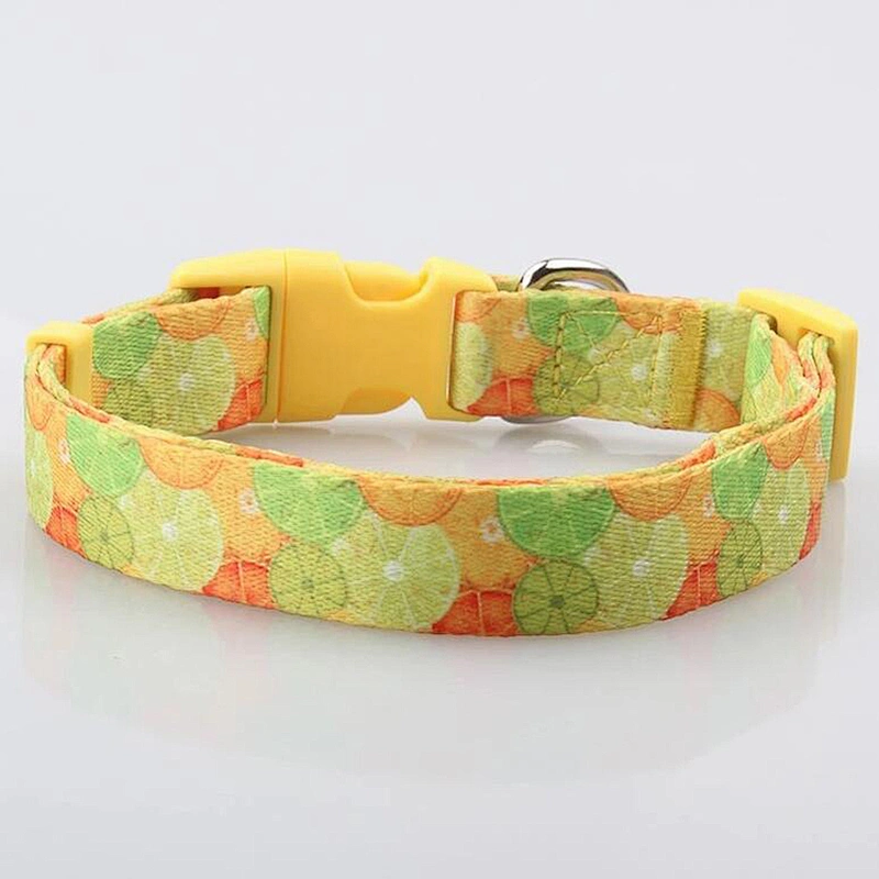 Polyester printing dog collar with metal D-ring and super strong plastic side release buckle