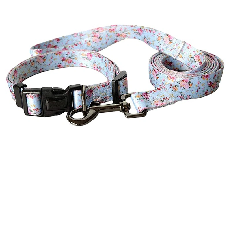 Polyester Sublimation Printing adjustable Pet Dog Collar and Leash Set