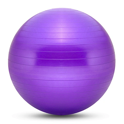 Factory Wholesale Body Building Instrument PVC Rubber Exercise Balance Ball Gymnastic Yoga Ball with Custom Printing Logo