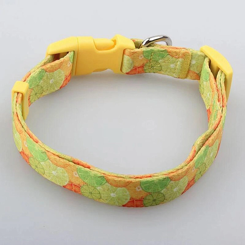 High Quality Polyester Dog Collar Customized  Print Pattern with Adjustable Plastic Buckle