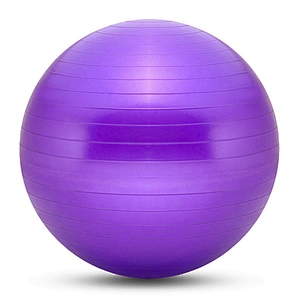 Anti-Burst Yoga Ball Chair Stability Fitness Ball for Strength Training