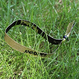 Fashion polyester fabric woven wrist band