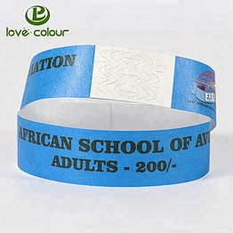 Cheap custom paper wristband for party and events / wristband vinyl