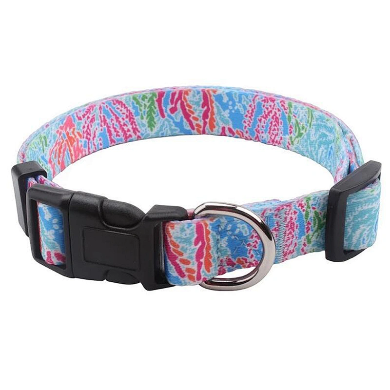 Heat Transfer Printing Custom Dog Accessories Fashion Dog Collar