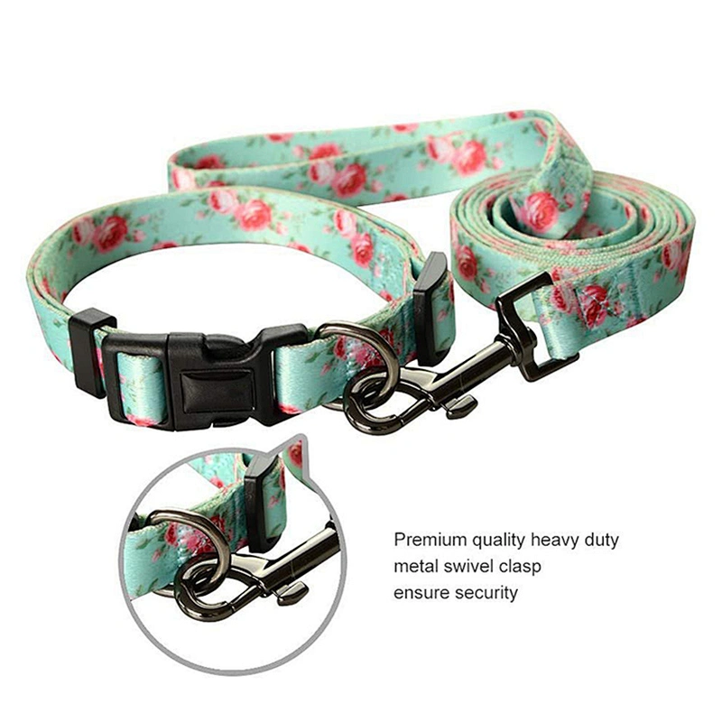 Personalized Sublimation Polyester Dog Collars and Leads