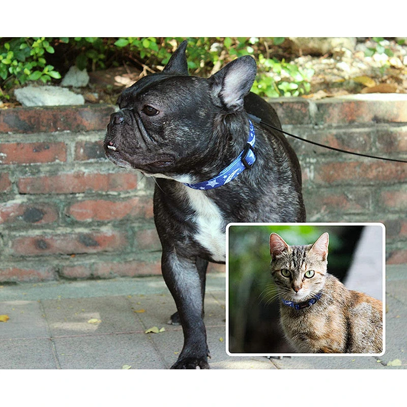 New Arrival Pet Products Custom Logo Dog Collar With Private Label