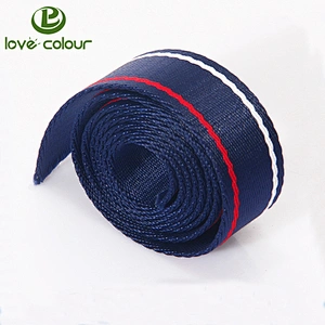 Custom Polypropylene Webbing Tape Band for Bags and Garment