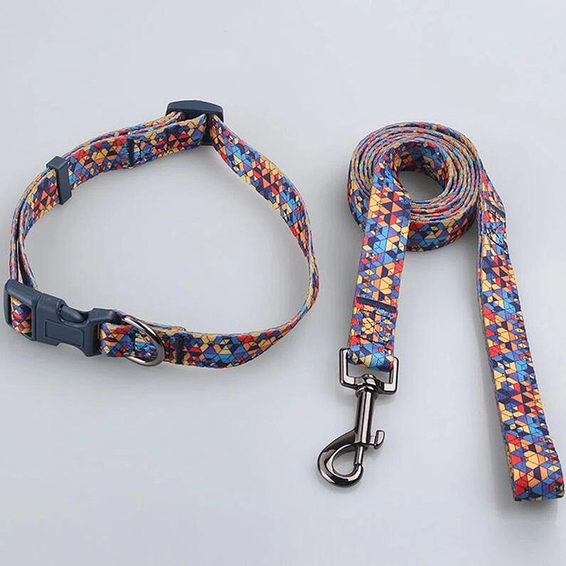 Pet Outdoor Products Custom Printing Pet Collar and Leash For Halloween