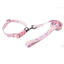 Custom Personalized Sublimation Polyester Pink Pet Collar Matching Dog leash with Print Patterns