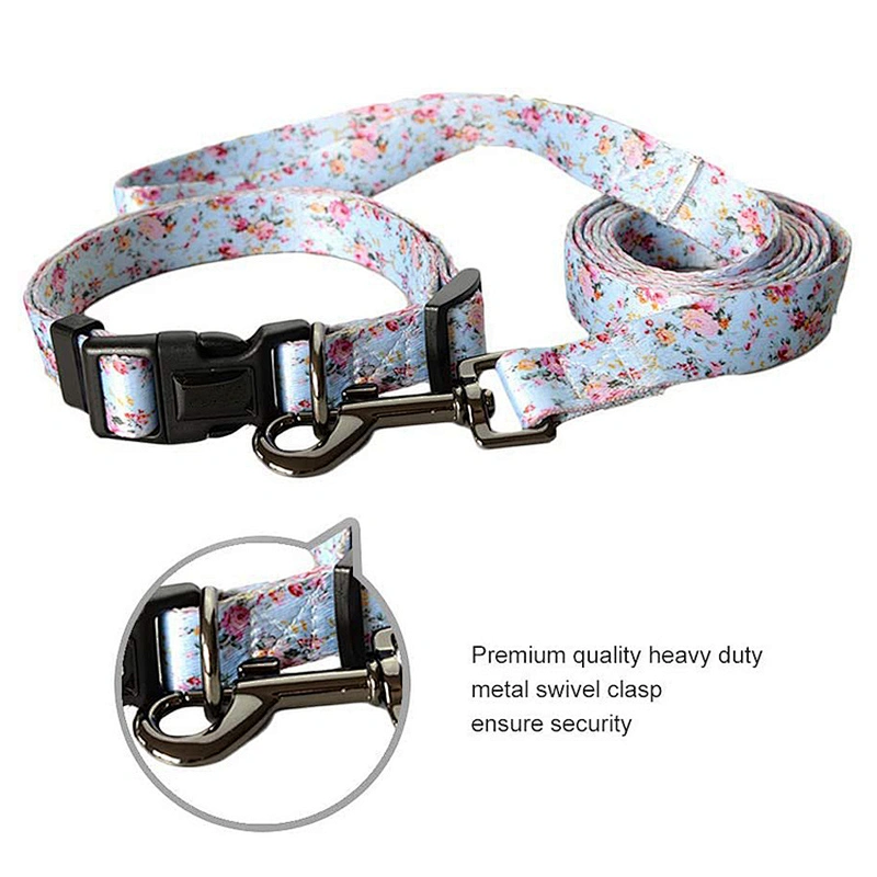 Personalized Sublimation Polyester Dog Collars and Leads