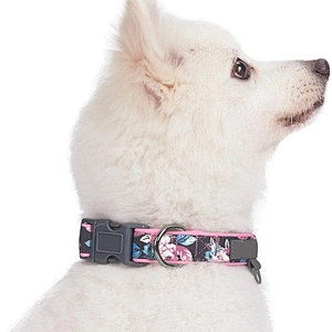Custom Print Polyester Pet Dog Collar With Adjustable Buckle
