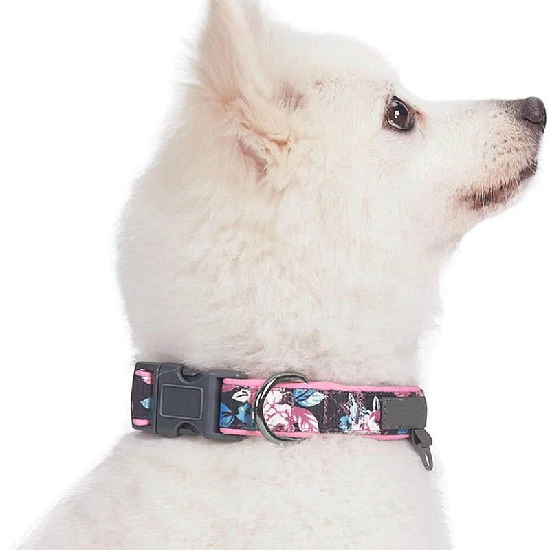 Custom Print Polyester Pet Dog Collar With Adjustable Buckle