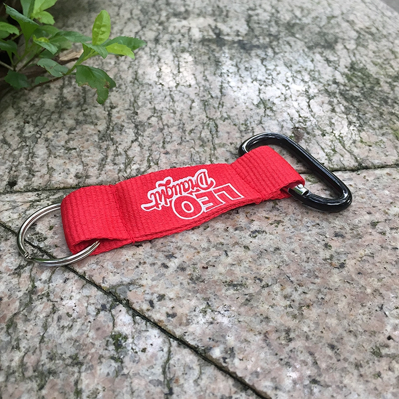 Cheap Custom key chain with carabiner/carabiner keychain