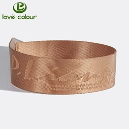 Fashionable design wholesale nylon webbing with embroidery logo