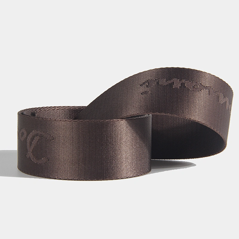Hot custom soft nylon webbing tape for bags and luggage belts