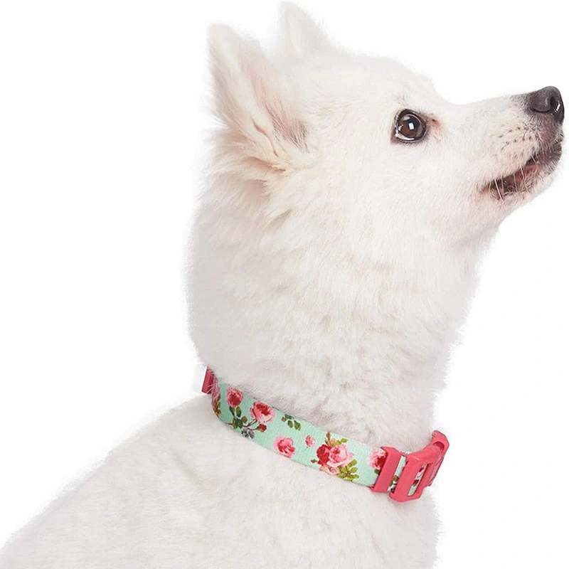 Sublimation Printed Adjustable Dog Pet Collar with Custom Logo