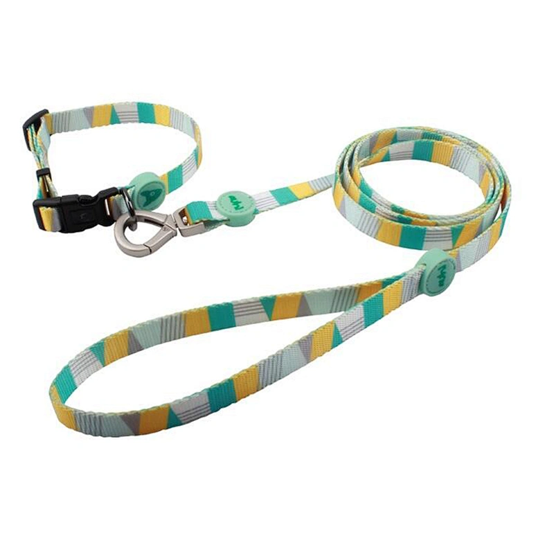 Custom private label polyester webbing personalized cartoon pet leashes dog collar