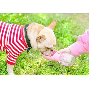 Pet Dog Cat Walking Travel Drinking Food Water Bowl Bottle