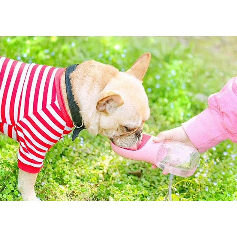 Pet Dog Cat Walking Travel Drinking Food Water Bowl Bottle