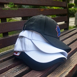 Custom Factory Price Cotton Baseball Cap with Company Logo