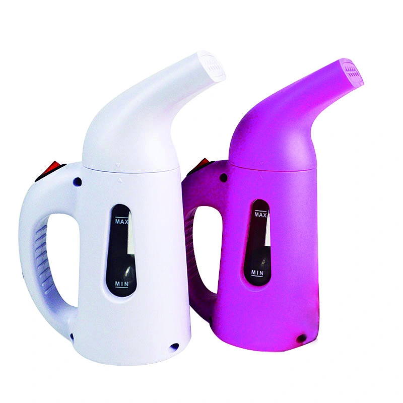 Compact Travel Steamer 800W