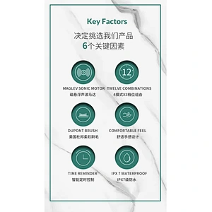 Soft Electronic Toothbrush Luxury Travel Gift Automatic Sonic Electronic Toothbrush For Adult