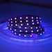 5050 smd uv led strip 360nm