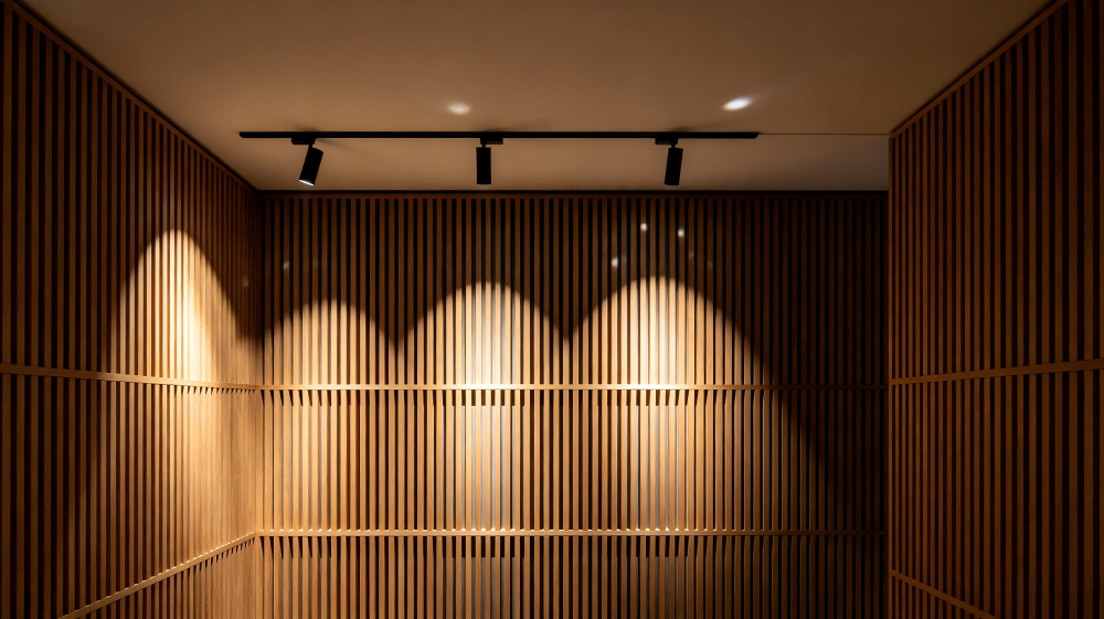   Track Lighting  