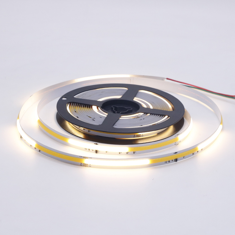 SPI control 12v led light strip