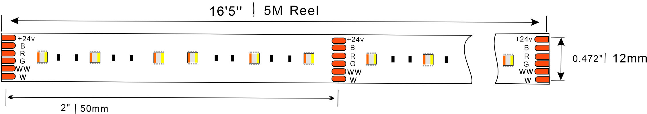 5050 5in1 LED Strip 60LEDs 24V Dimensions