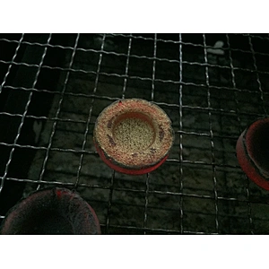 HQRM3301 Hong Qiang shisha Hookah One Match Lighting Round Charcoal
