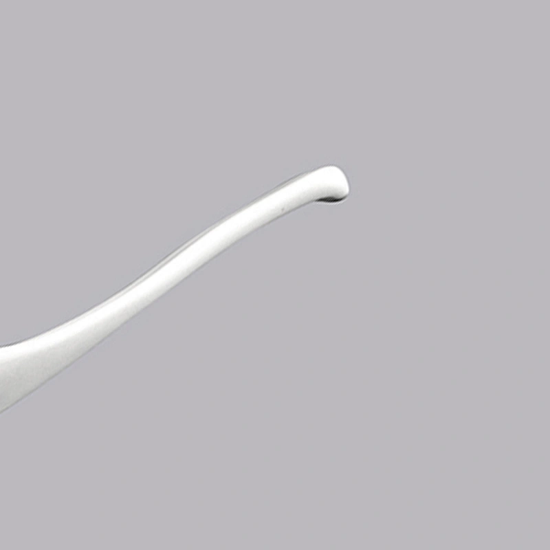 high quality wholesale small white ceramic tasting porcelain spoon