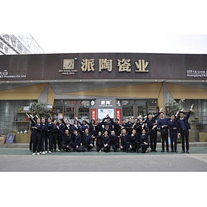 P&T Team