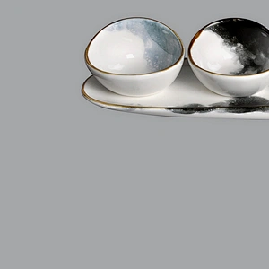 wholesale Porcelain Ceramic abalone shape  Dip Sauce Ramekins Appetizer Tapas bowl with long tray