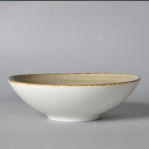 2020 New Design Wholesale Ceramic Bowl Hotel Restaurant Porcelain Soup Bowl Porcelain Bowl