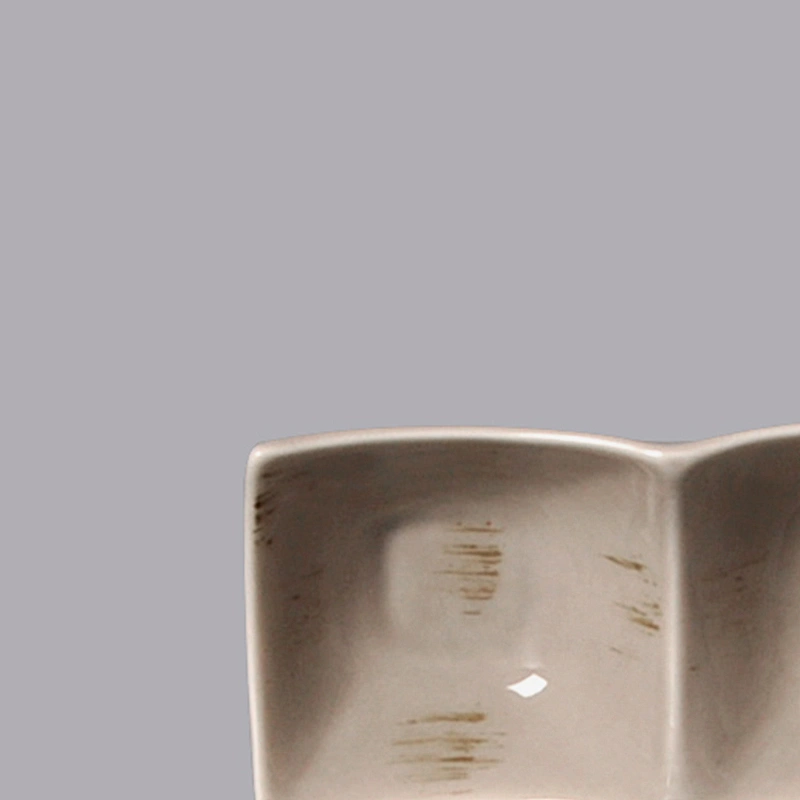 rectangle ceramic porcelain  2 Compartment Plate Double Saucer Dip Dishes