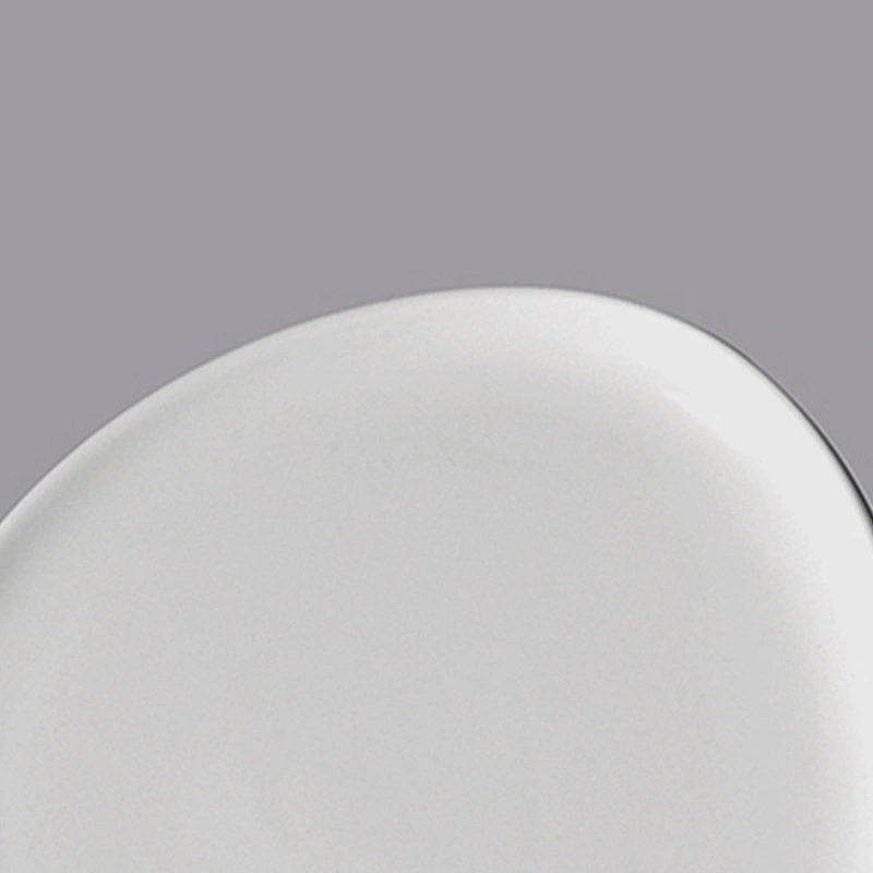 P&T Royal Ware white restaurant ceramic dinner dishes porcelain triangular plates