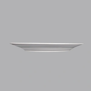 Chinese manufactures of dishes to restaurant 10 inch ceramic flat dinner plate dishes for hotel