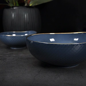 P&T Royal Ware Elegant Hotel Restaurant Bone China Dinnerware 10 inch Salad Bowl Fruit Bowl with Gold rim