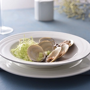 P&T Royal Ware Wholesale 8.5 / 10.5 Inch Bone China Ceramic Fat Plate