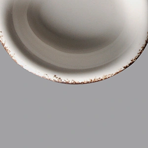 P&T Royal Ware wholesale glazed round porcelain ceramic soy sauce dish