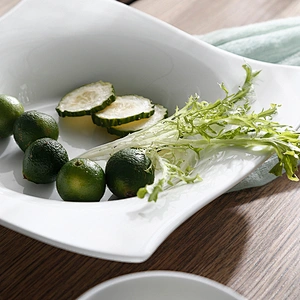 PITO White Ceramic Bone China 5 Inch Bowl for Restaurant