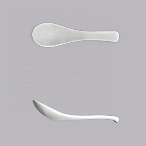 high quality wholesale small white ceramic tasting porcelain spoon