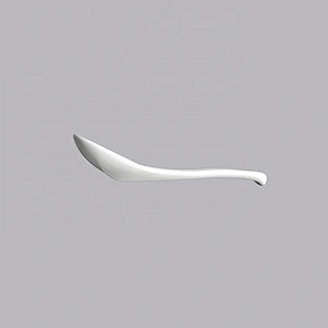 high quality wholesale small white ceramic tasting porcelain spoon
